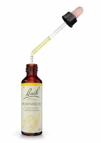 Famadem hornbeam 17 charme fleur de bach original 20 ml