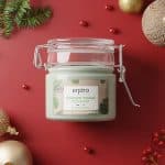 endro-masque-visage-purifian